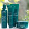 Aveda Botanical Extract Strengthening Hair Care